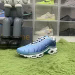Nike Air Max Plus