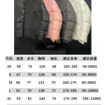 Big goose down jacket