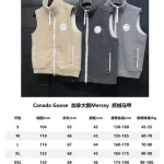 Big goose down jacket