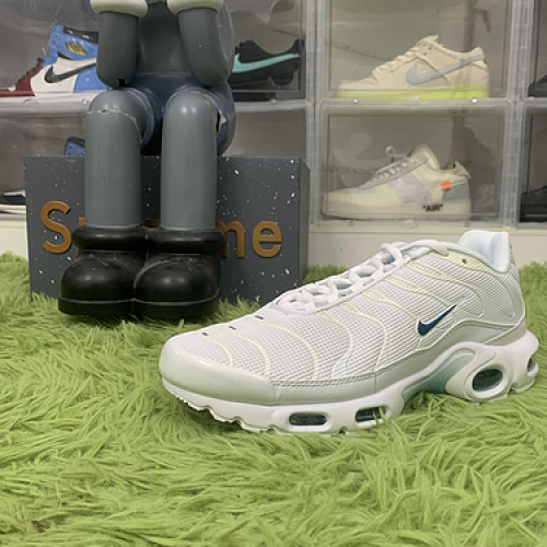 Nike Air Max Plus Metallic Teal DR7853-100