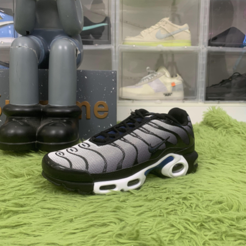 Nike Air Max Plus