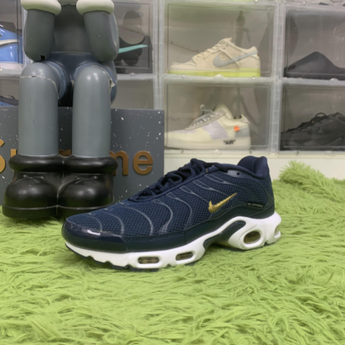 Nike Air Max Plus 'French Football Federation'