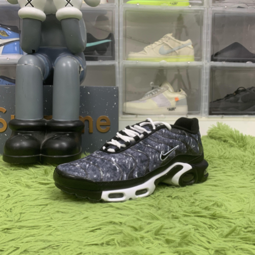 Nike Air Max Plus Dark Smoke Grey