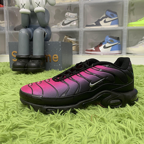 Nike Air Max Plus FJ5481 010