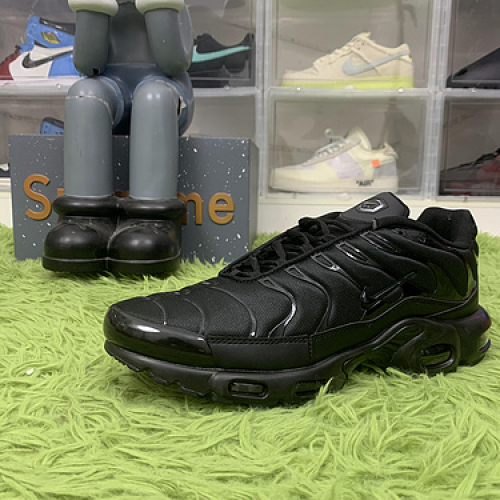 Nike Air Max Plus Triple Black  604133-050