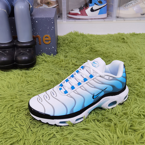 Nike Air Max Plus Ice FD9767 100