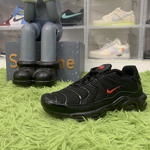 Nike Air Max Plus Metal Mesh Black Red