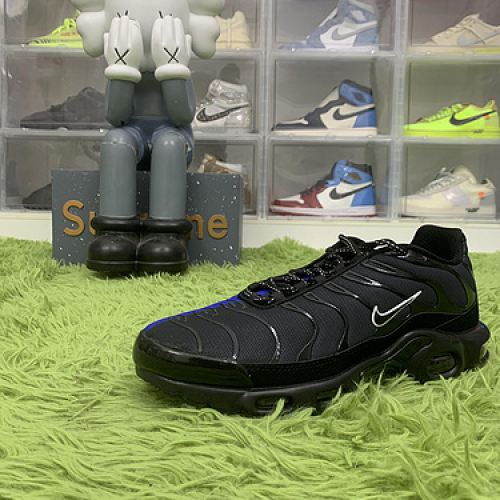 Nike Air Max Plus DZ4509 001