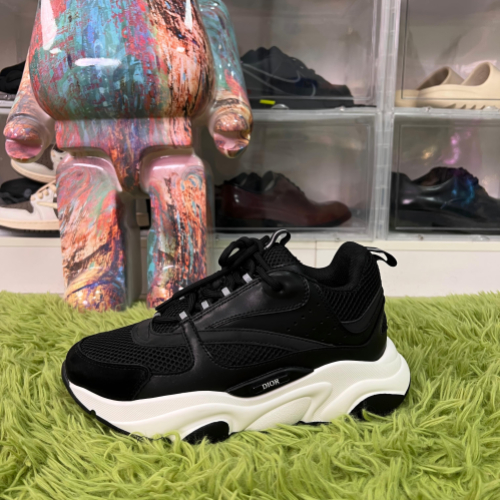 Dior B22