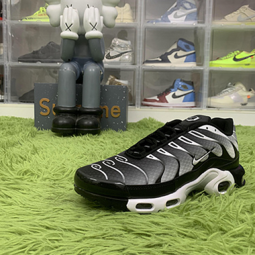 Nike Air Max Plus Black Silver White DM0032 003