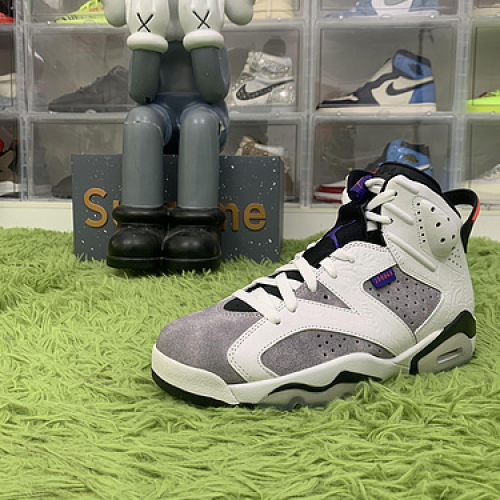 OG batch Jordan 6 Retro Flight Nostalgia CI3125 100