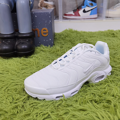 Nike Air Max Plus White Pure Platinum DM2362-100