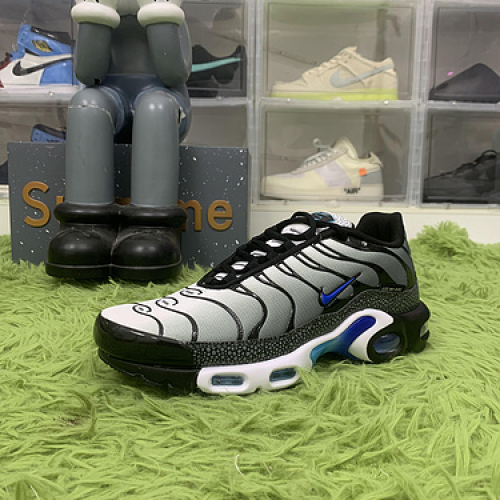 Nike Air Max Plus Kiss My Airs Metallic Silver FD9755-001