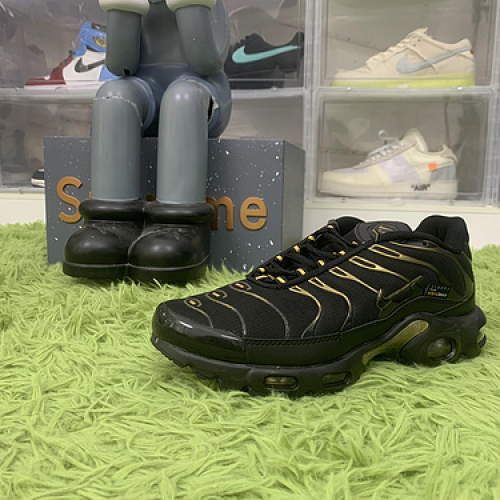 Nike Air Max Plus Cordura Black DO6700-001