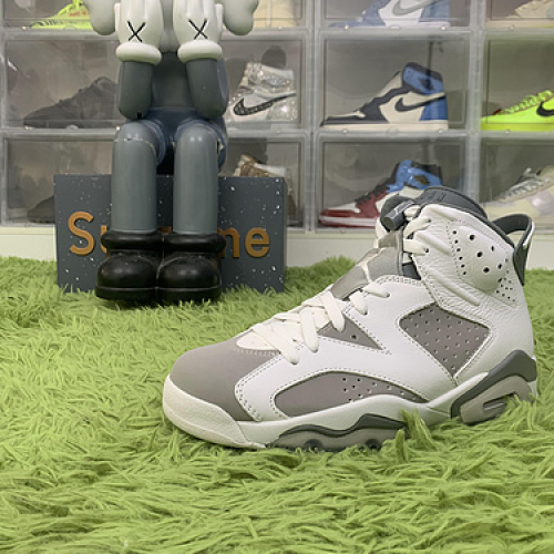 OG batch Jordan 6 Retro Cool Grey CT8529 100