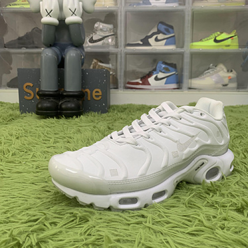 Nike Air Max Plus A-COLD-WALL Platinum Tint FD7855-002