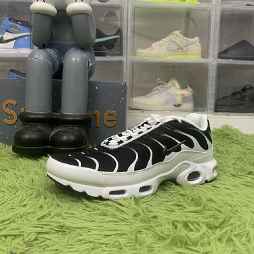 Nike Air Max Plus White Black Metallic Pewter CT1094-102