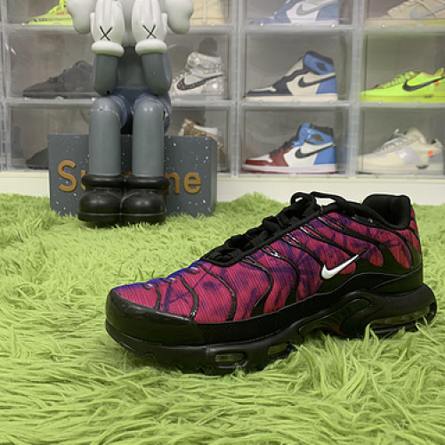 Nike Air Max Plus FV0393 001