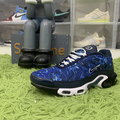 Nike Air Max Plus Midnight Navy White DO6384-400