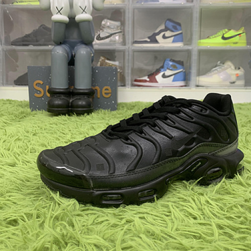 Nike Air Max Plus A-COLD-WALL Black FD7855 001