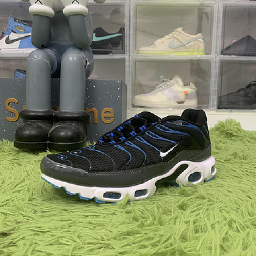 Nike Air Max Plus Black Royal Grey DH4776-003