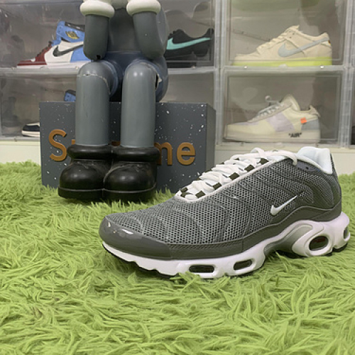 Nike Air Max Plus Flat Pewter DV7665-002