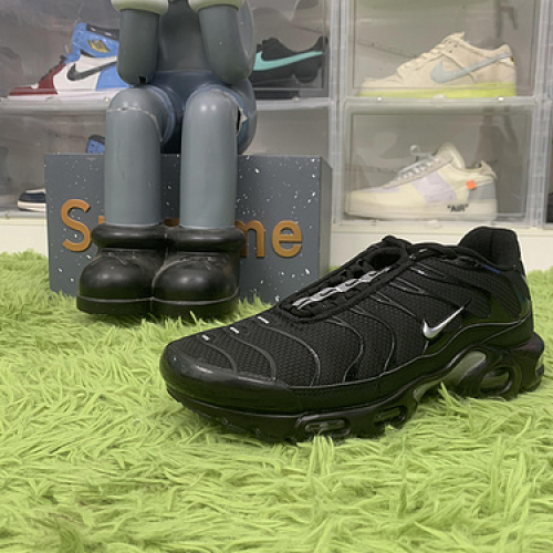 Nike Air Max Plus Mini Swoosh Black Silver DX8971-001