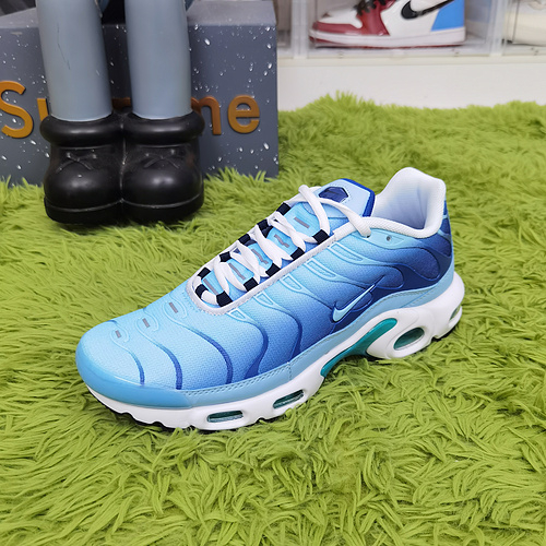 Nike Air Max Plus FJ4736 400