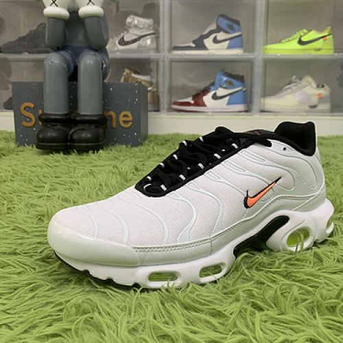 Nike wmns AIr max plus &#x27;nerf&#x27; DQ4696 100