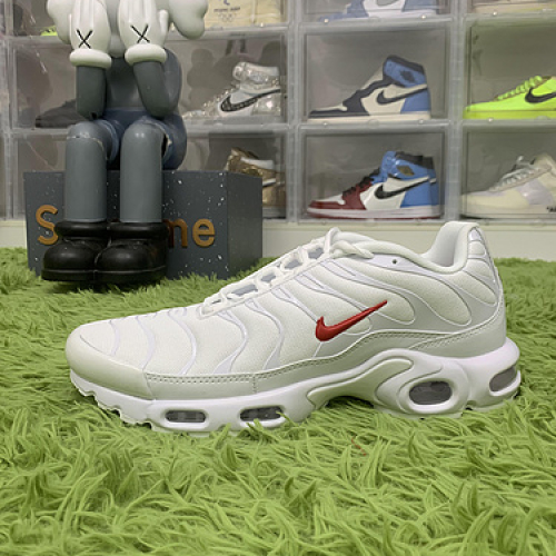 Nike Air Max Plus DA1472 100