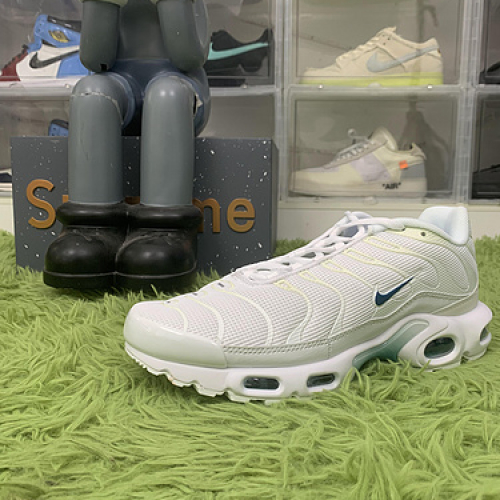 Nike Air Max Plus Metallic Teal DR7853-100