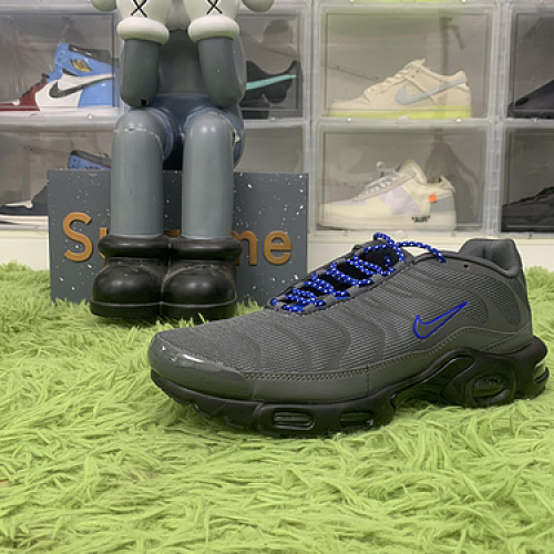 Nike Air Max Plus Grey Reflective DN7997-002