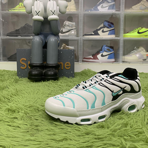 Nike Air Max Plus atmos White Hyper Jade 604133 148