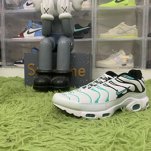 Nike Air Max Plus atmos White Hyper Jade 604133-148